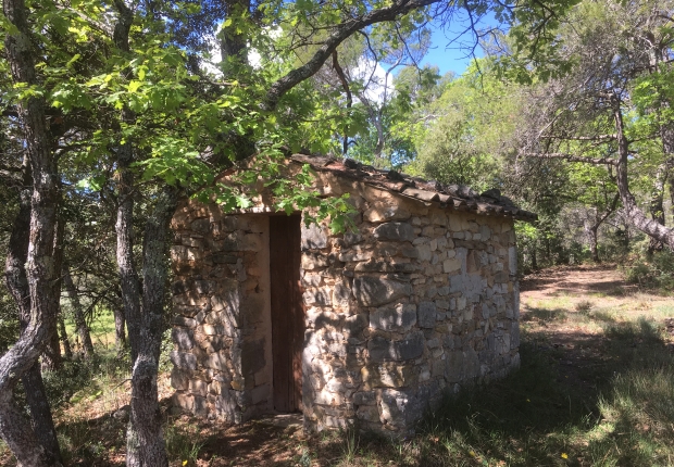 Highlight of ecosystem services project in Cavalerie Forests, France